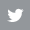 icon-twitter.gif